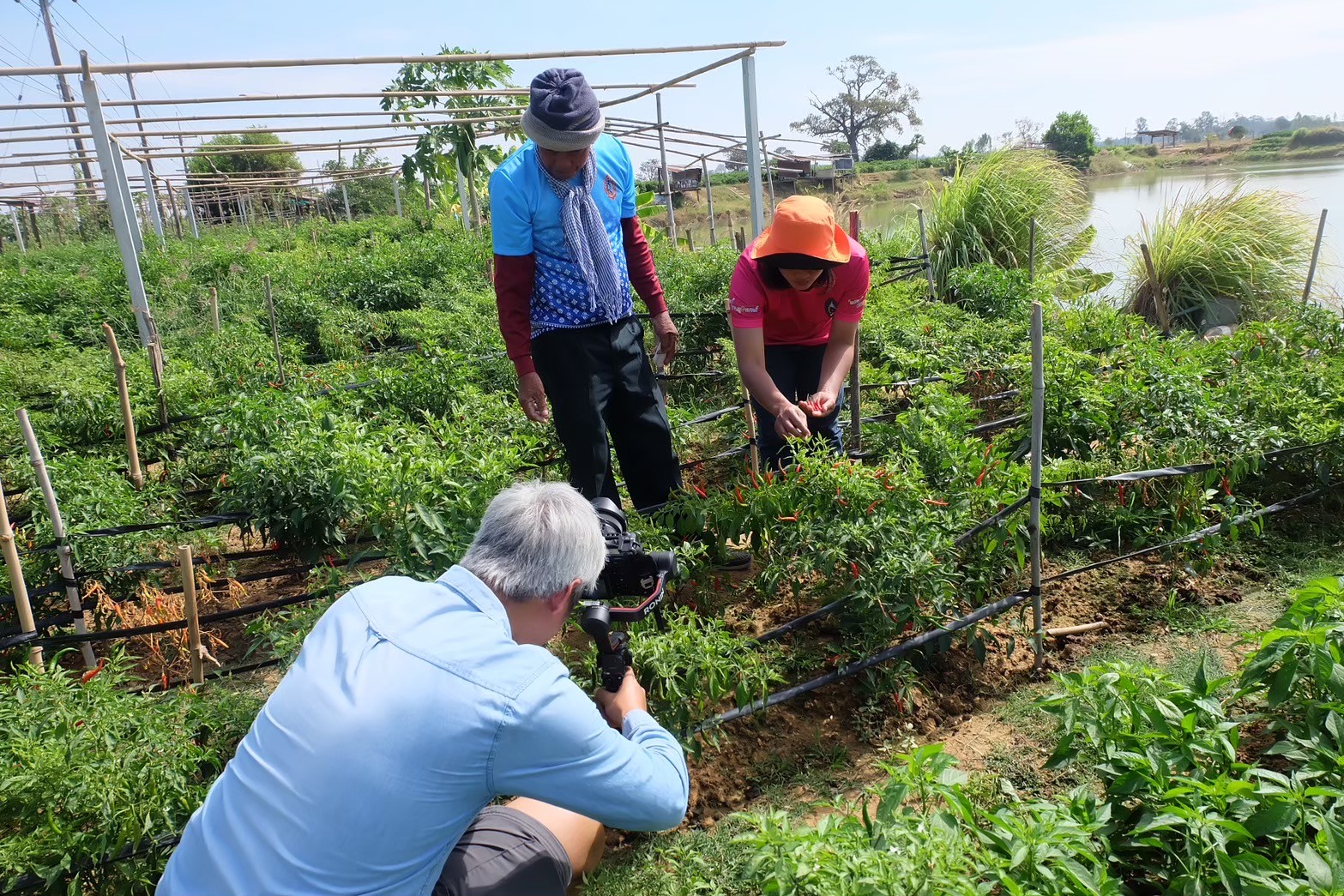เยี่ยมชมให้คำแนะนำกลุ่มเกษตรกร 